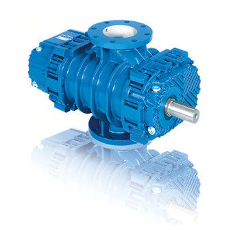 Horizontal Tri Rotary Lobe Blower Besi Cor Vertikal Untuk Sistem Denyut Rendah